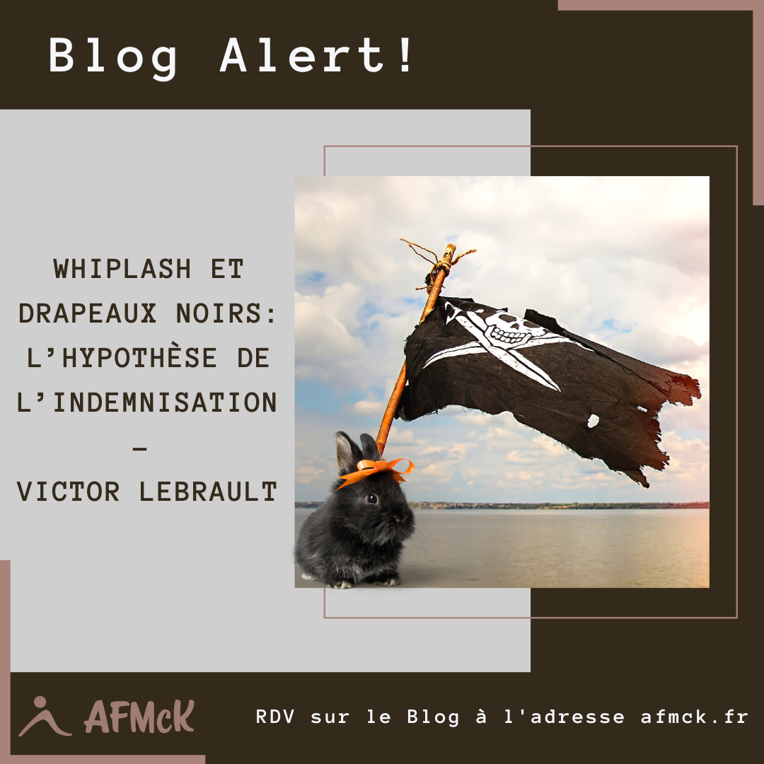 Guest Blogger #6: Victor lebrault nous parle de wiplash et drapeau